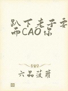 趴下老子要从后面CAO你