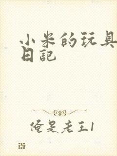 小米的玩具羞辱日记