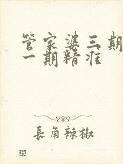 管家婆三期必开一期精准