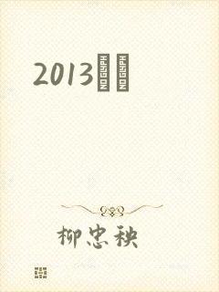 2013С˵