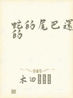 蛇的尾巴还在我的