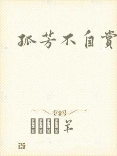 孤芳不自赏小说