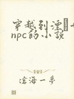 穿越到湮婸世界npc的小说