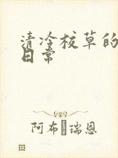 清冷校草的抹布日常