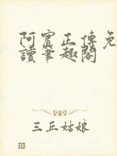 阿宾正传免费阅读笔趣阁