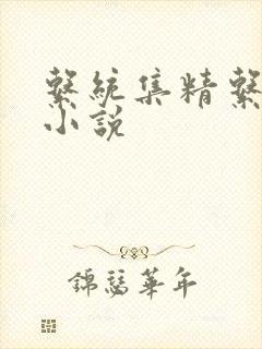 系统集精系统 小说