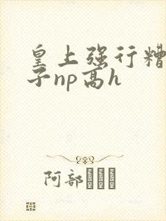 皇上强行糟蹋太子np高h