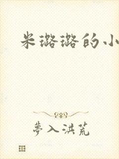 米璐璐的小说