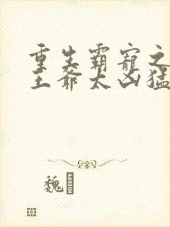 重生霸宠之摄政王爷太凶猛