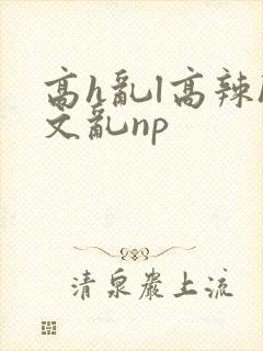 高h乱l高辣h文乱np