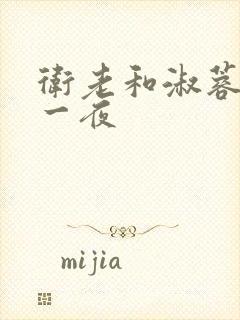 卫老和淑蓉销魂一夜封面