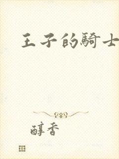 王子的骑士小说