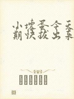 小坏蛋今天危险期快拔出来