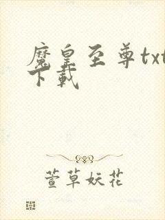 魔皇至尊txt下载