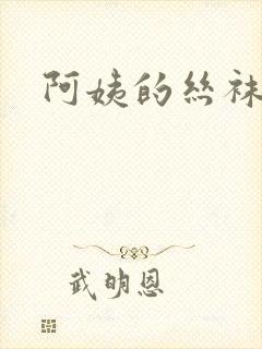 阿姨的丝袜小说