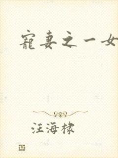 宠妻之一女二夫