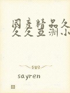 国产精品久久久久久亚洲小说