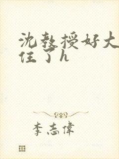 沈教授好大含不住了h