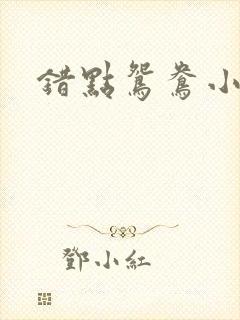 错点鸳鸯小说