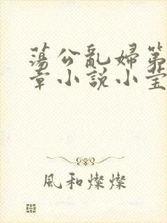 荡公乱妇第51章小说小莹