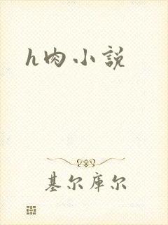 h肉小说