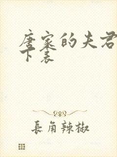 唐家的夫君们帘下衾