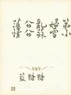 荡公乱妇第1章情公苏雪小说