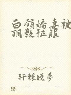 白领娇妻被老板调教征服