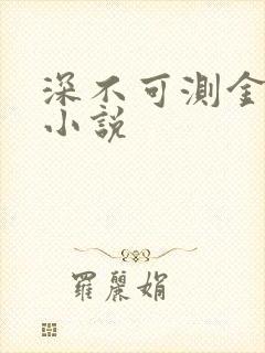 深不可测金银花小说