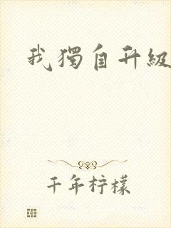 我独自升级小说