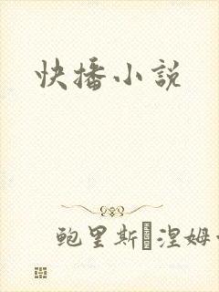 快播小说