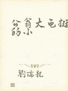 公翁大龟挺进我的小