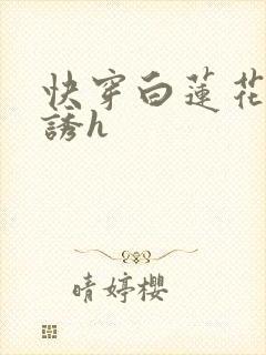 快穿白莲花的引诱h