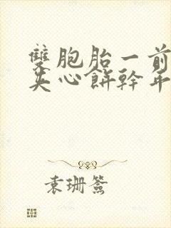 双胞胎一前一后夹心饼干年下