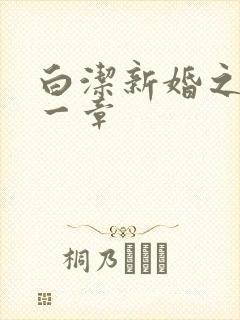 白洁新婚之夜第一章