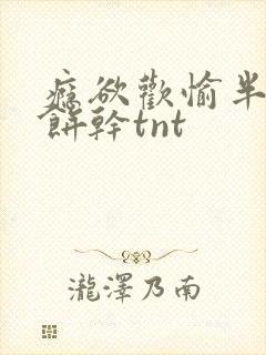 瘾欲欢愉半块小饼干tnt