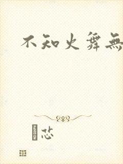 《不知火舞无翼鸟》小说封面