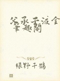 父承子液金银花 笔趣阁