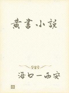 黄书小说