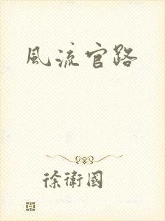 风流官路