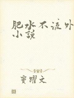肥水不流外人田小说