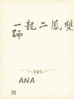 一龙二凤双飞老师
