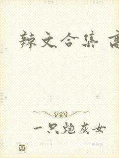 辣文合集 高h