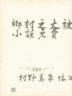 乡村之大被同眠小说免费