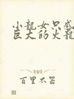 小龙女只感觉那巨大的火龙枪