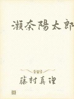 《濑奈阳太郎》小说封面