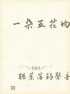 一朵五花肉