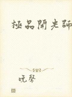 极品开光师