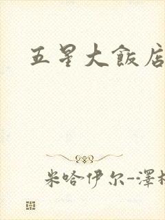 五星大饭店小说