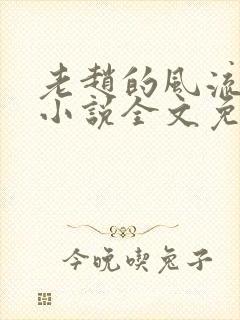 老赵的风流人生小说全文免费阅读